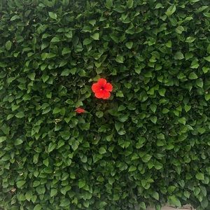 Meet your Posher, Karla